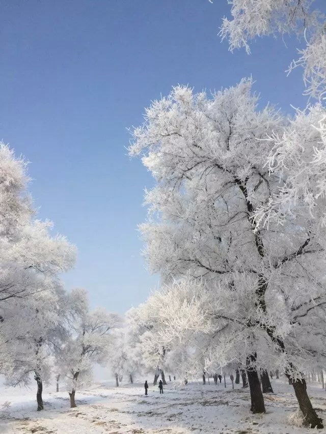 大雪纷飞东北最北——我的漠河雪中情之旅