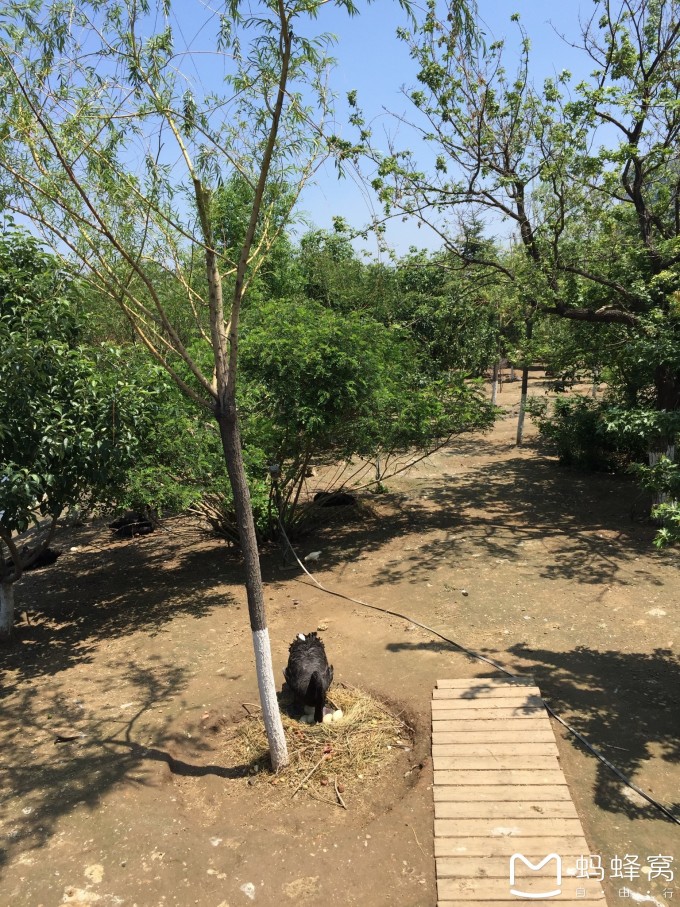--> 辽科就是辽宁科技馆,应该大家很熟悉啦。首先普及一下基本信息: 开馆时间 周三至周日9:3016:00开馆(15:30停止售票) 周一、周二闭馆(如遇国家法定节假日另行公告) 为保证参观安全,提高参观质量,省科技馆采取限流管理模式,常设展厅开馆日每日预约限流5000人,约完即止;儿童科学乐园最多可同时容纳400人,如遇展厅饱和,请您排队等候或选择错峰参观,谢谢配合。 特别提示:常设展厅一律实行网上预约,不再接受现场无预约参观,包括儿童在内每人一票,预约时请务必记得选择携带儿童数量。 刚开始的时候人