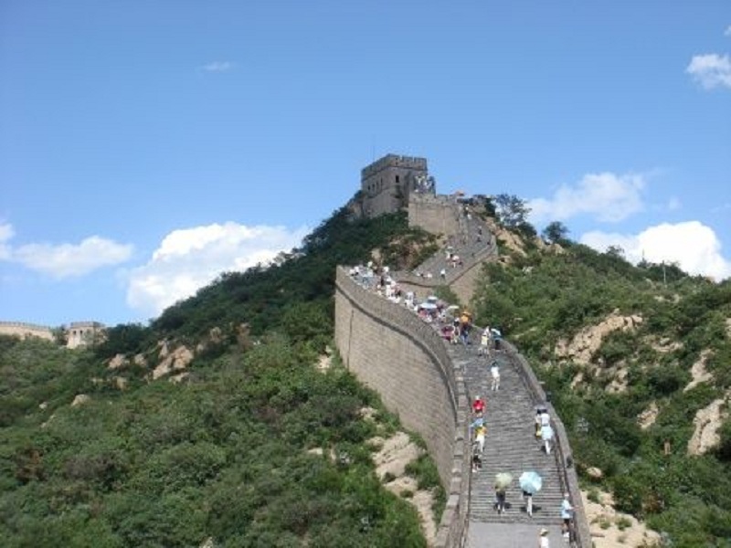亲近自然之旅八达岭野生动物园 八达岭长城 奥运场馆鸟巢水立方一日游