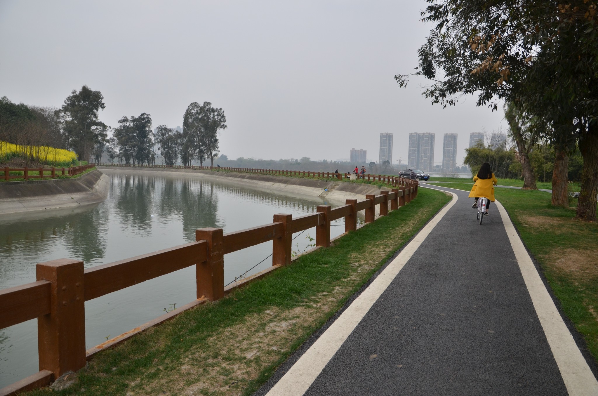 十陵青龙湖湿地公园