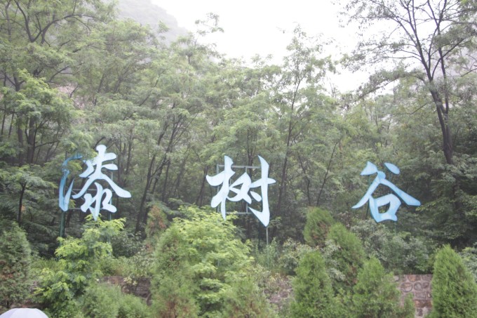 第二天: 下过雨后的第二天早上,空气异常清新,空气中的新鲜氧气像是要溢出来一样。我和朋友们没有吃早饭,带着零食,趁着凉快的就直奔主峰而去。 走主峰有两条路,一条路是刚过宾馆不远就有一个百步梯,看着特别陡,而且一开始就走一百步台阶太累了,体力好的可以试试。所以我们决定从护国院那边的主峰入口走。主峰的绿植覆盖绿也超高,大部分是黄栌和枫叶,还有柏树。路上碰到每天来这爬山的原著民,很纯朴、很热情,给我们讲了许多这里好玩的、美丽的地方,言语间透露着自豪感。他说,如果我们秋天来的话,这里满山遍野都是红叶,特别美、特别