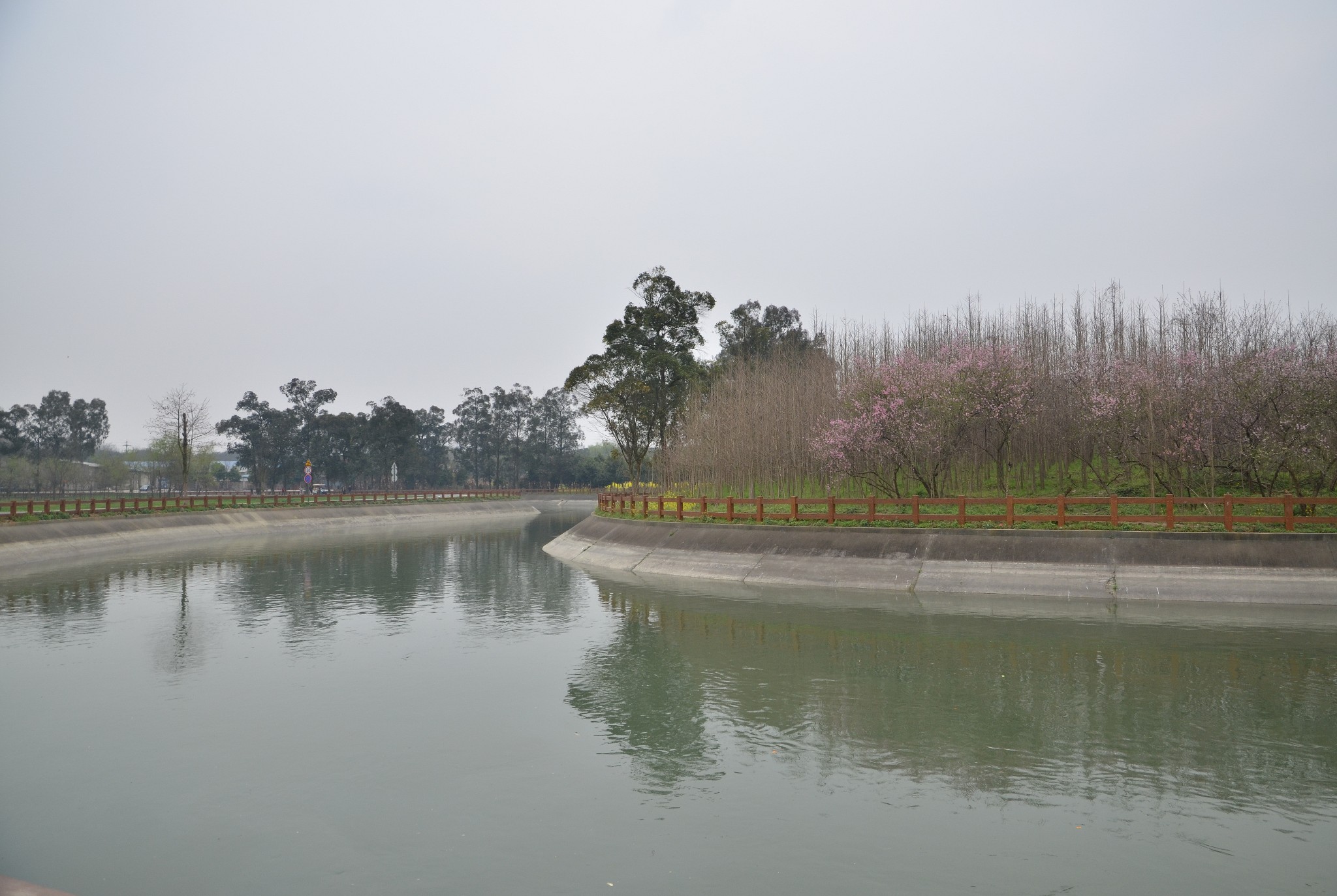 十陵青龙湖湿地公园