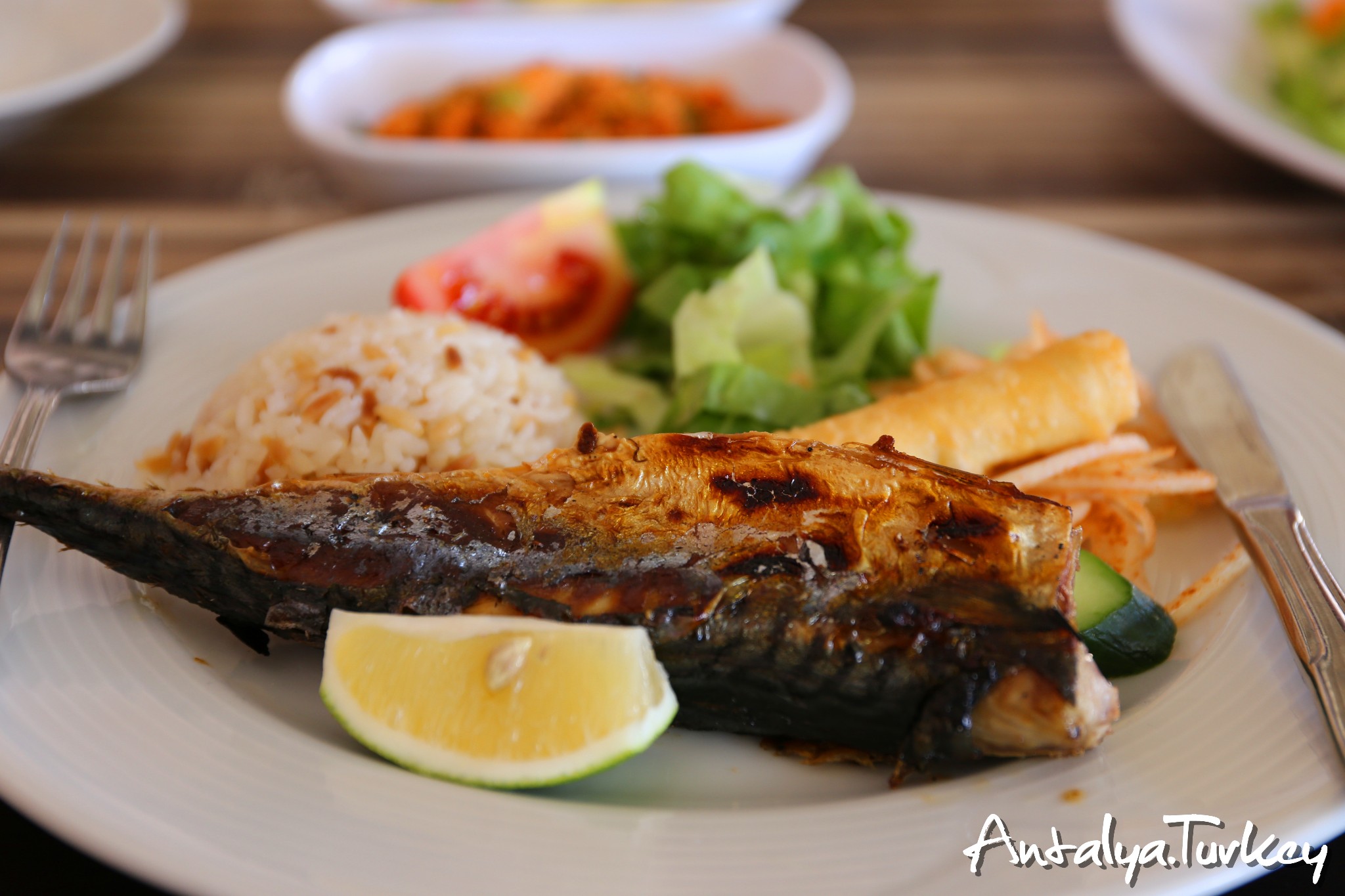 海港 来自游记:旅行 从一张照片的吸引开始【传奇国度-土耳其】 坐在